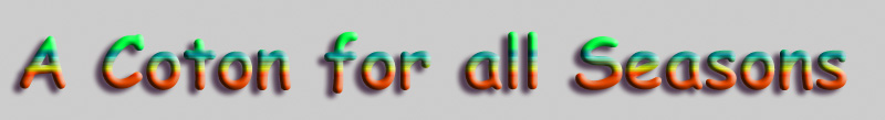 page heading 'A Coton for All Seasons'