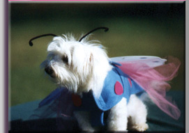 photo of Gabrielle