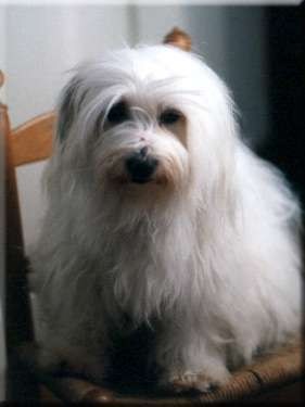 Photo of Gabrielle on a chair