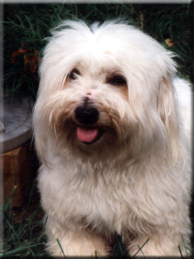 Photo of Gabrielle in the garden