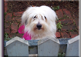 photo of Gabrielle