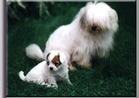 photo of Gabrielle