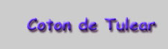 button label 'Coton de Tulear