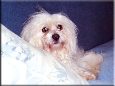 Photo of Lily waking up from a nap