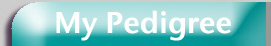 label 'My pedigree'