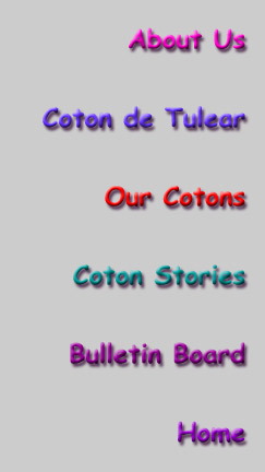 Button Labels
