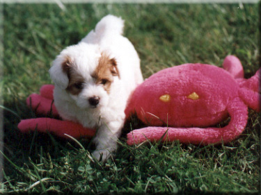 Photo of Rory with stuffed toy