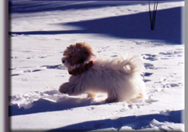 photo of Rory