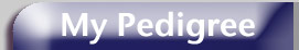 label 'My pedigree'