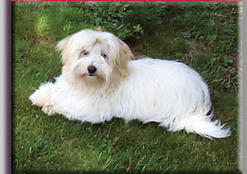 photo of Gabrielle