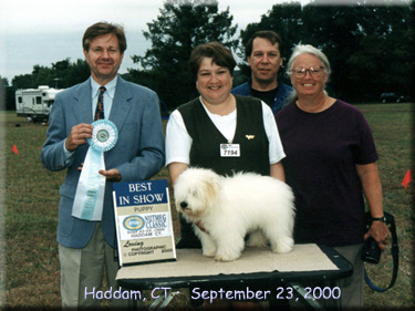Truffles Best in Show puppy photo