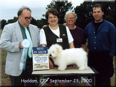 Photo of Truffles Best in Show puppy