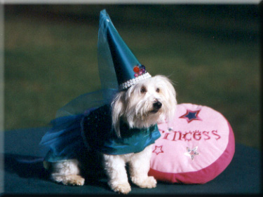 Gabrielle dressed as a Princess